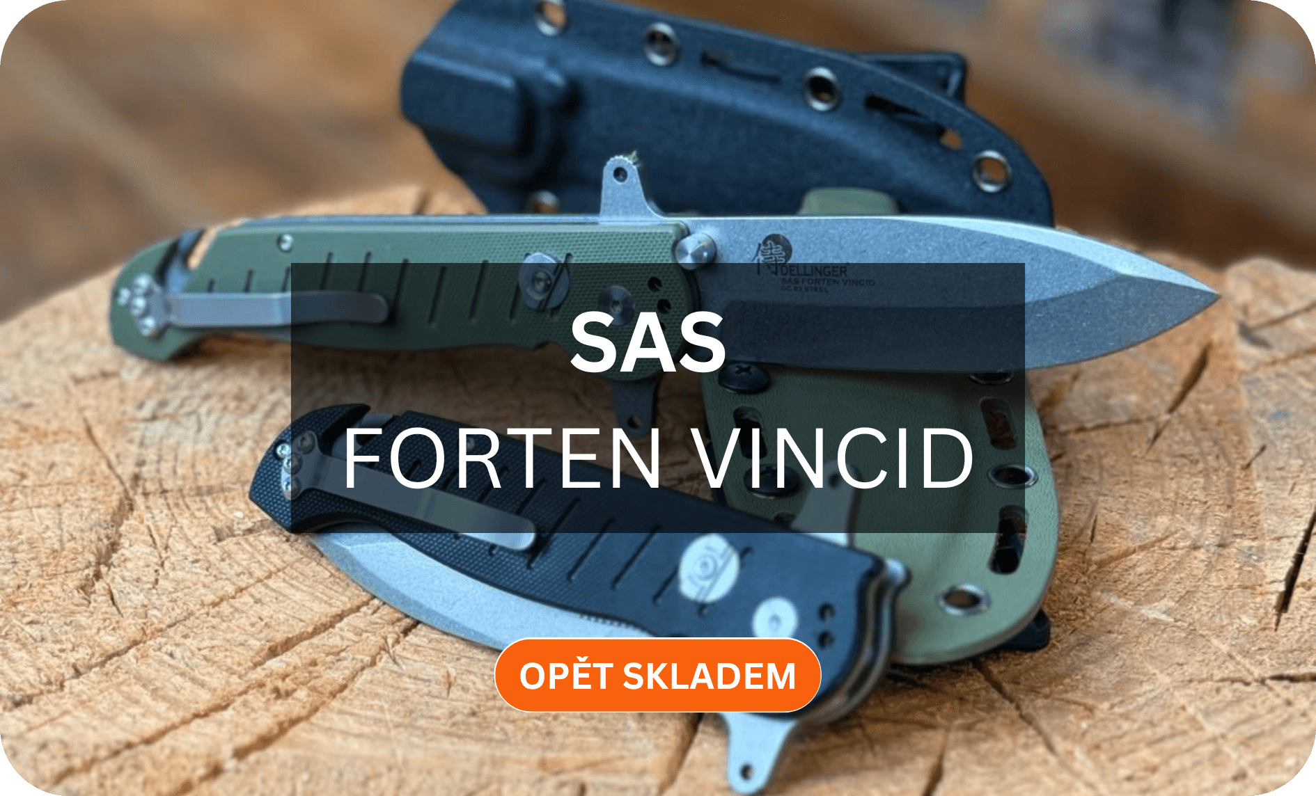 SAS_zvostra